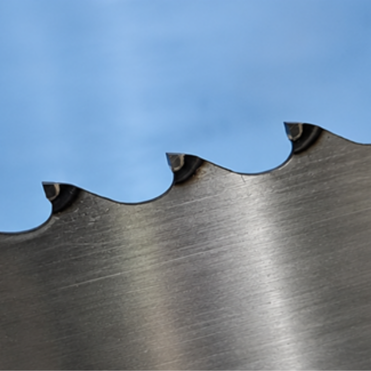 Saw Doctor TCT Bandsaw Blades